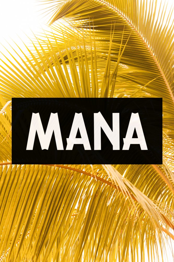 Mana Washington Dc Roaming Hunger